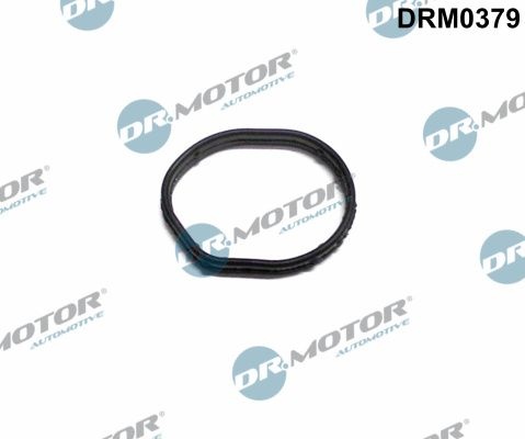 DR.MOTOR AUTOMOTIVE Gaskets DRM0379 Gasket, timing case cover FORD,Fiesta Mk6 Schrägheck (JA8, JR8),FOCUS III Turnier,FOCUS III,Mondeo V Kombi (CF)