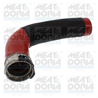 Radiator hose