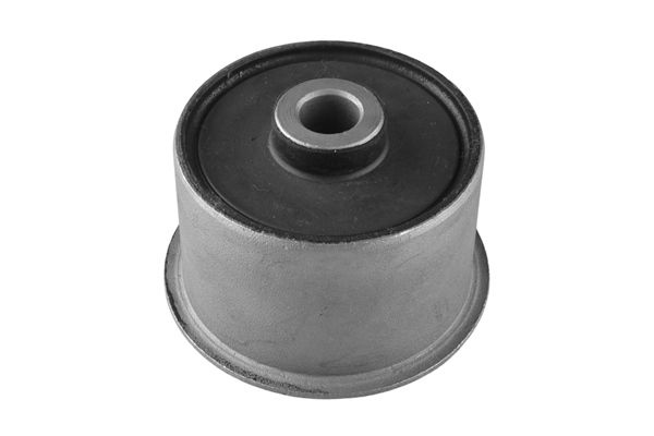 Rear Axle Bearing