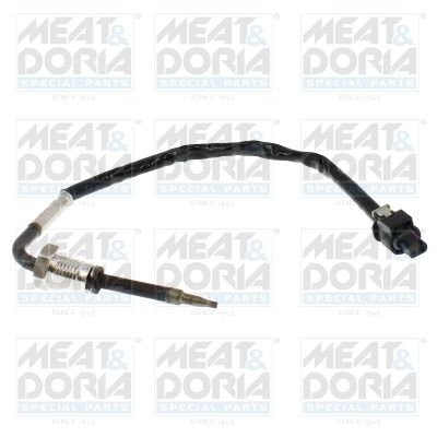 Sensor, exhaust gas temperature