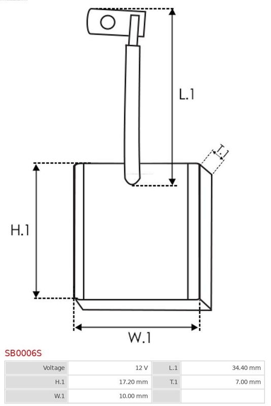 Carbon brush, starter motor