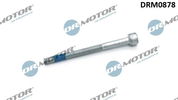 DR.MOTOR AUTOMOTIVE Screw, injection nozzle holder MERCEDES-BENZ,SMART,JEEP DRM0878 05073719AA,05073719AA,0009902907  0039904012,6119900122