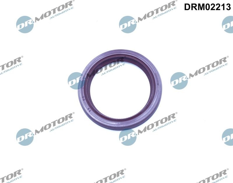 DR.MOTOR AUTOMOTIVE Camshaft Seal frontal sided DRM02213 Shaft Seal, camshaft RENAULT,FIAT,PEUGEOT,CLIO II (BB0/1/2_, CB0/1/2_),LAGUNA II (BG0/1_)