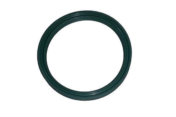 Seal ring, charge air hose