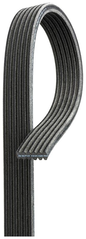 GATES V-ribbed belt BMW 6DPK1817 11287800345,11288506994,11288512069 Serpentine belt,Auxiliary belt,Poly V-belt,Ribbed belt,Multi V-belt,Poly belt