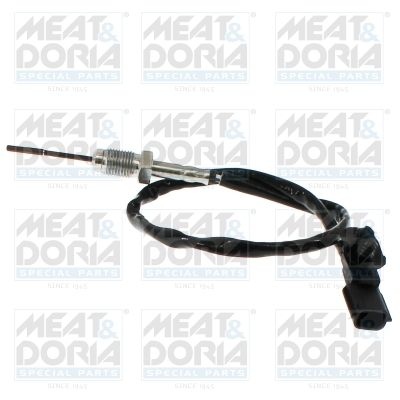 Sensor, exhaust gas temperature