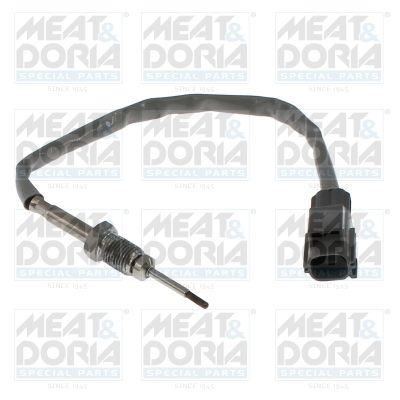 Sensor, exhaust gas temperature