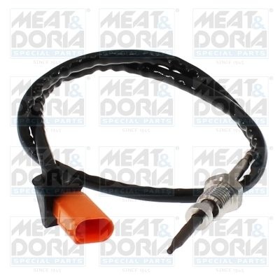 Sensor, exhaust gas temperature