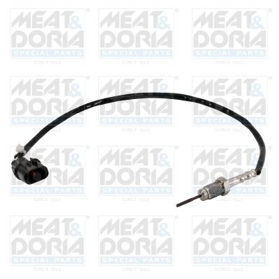 Sensor, exhaust gas temperature