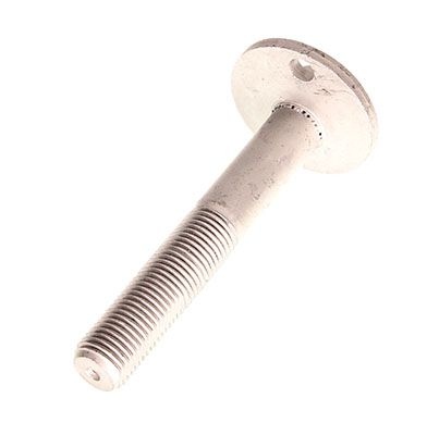 Camber correction screw