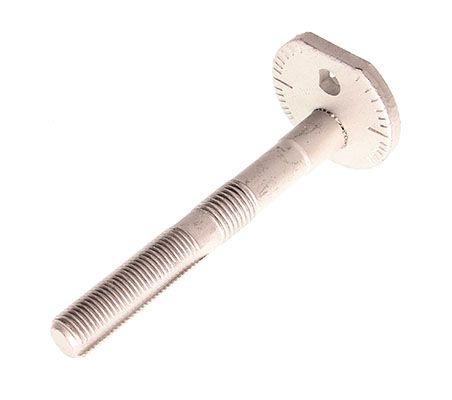 Camber correction screw