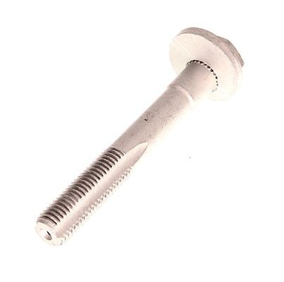 Camber correction screw