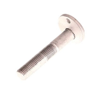 Camber correction screw