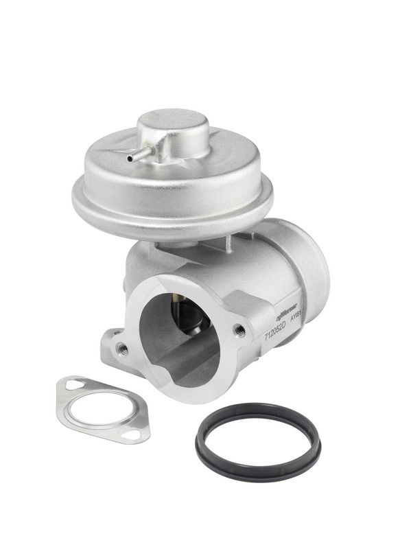 EGRventil 712052D Wahler