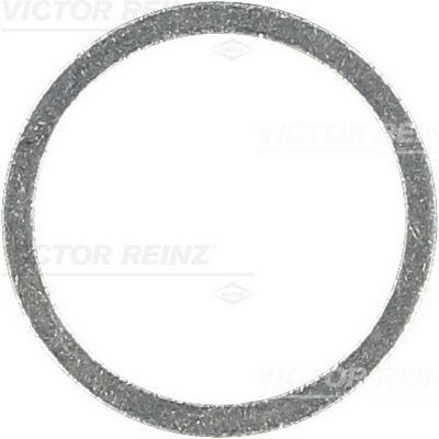 Sealing ring