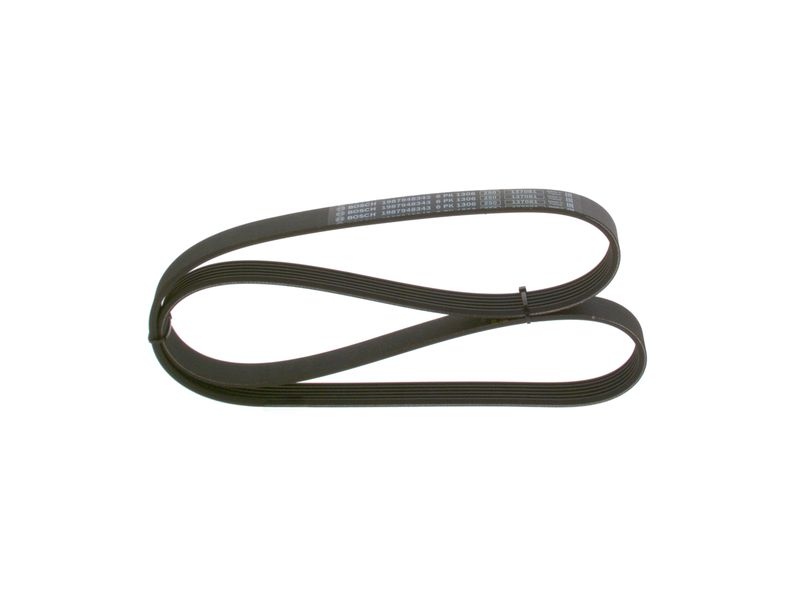 BOSCH V-ribbed belt 1 987 948 343 Serpentine belt,Auxiliary belt FORD,FIAT,MAZDA,Focus II Schrägheck (DA_, HCP, DP),Focus II Kombi (DA_, FFS, DS)