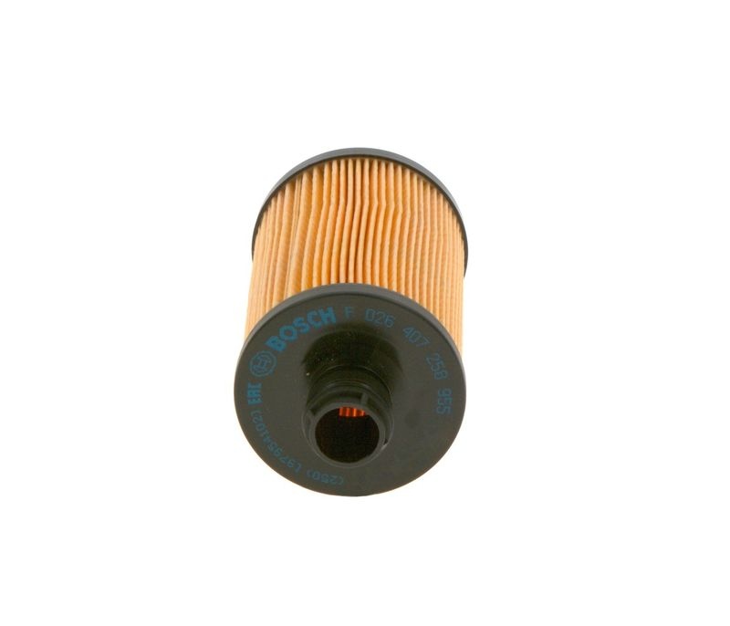 BOSCH Oil filter CHEVROLET,JEEP,CHRYSLER F 026 407 258 FH1199,68492616AA,68109834AA Engine oil filter 68229402AA,71771649,K68109834AA,K68229402AA