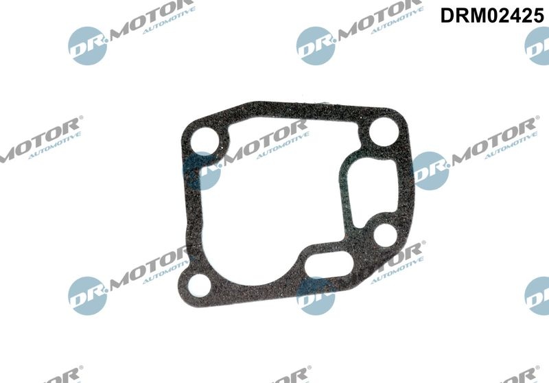 Gasket, Oil Filter Housing