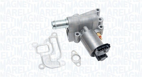 EGR Valve