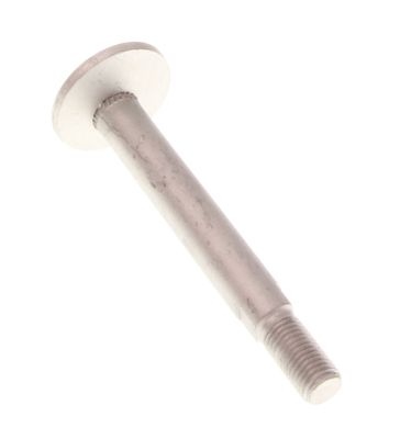 Camber correction screw