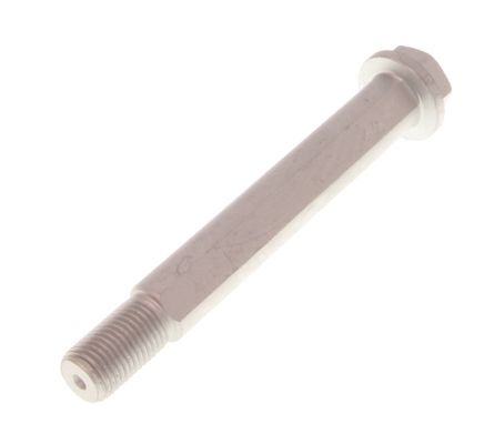 Camber correction screw