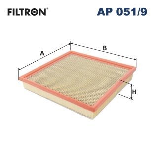 Filtron Luftfilter Ap 0519 Vauxhall Ap051/9 Storlek 2