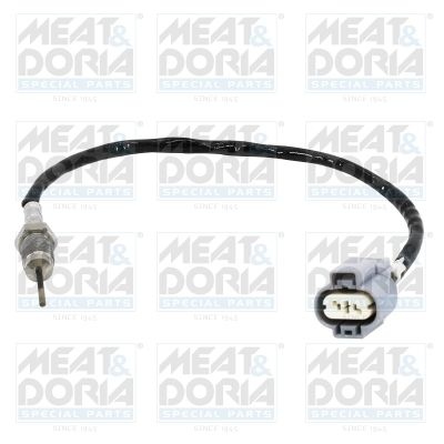 Sensor, exhaust gas temperature