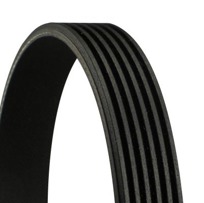 V-Ribbed Belts 6PK2625 Contitech