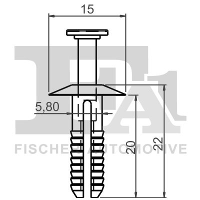 Clip, bumper