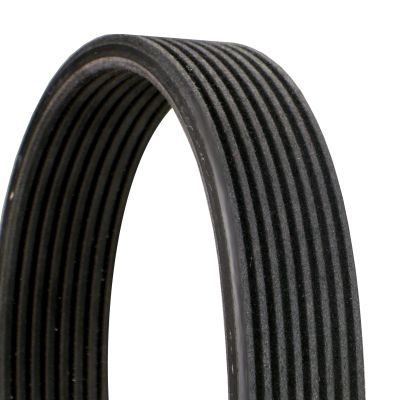 V-Ribbed Belts 8DPK1833 Contitech