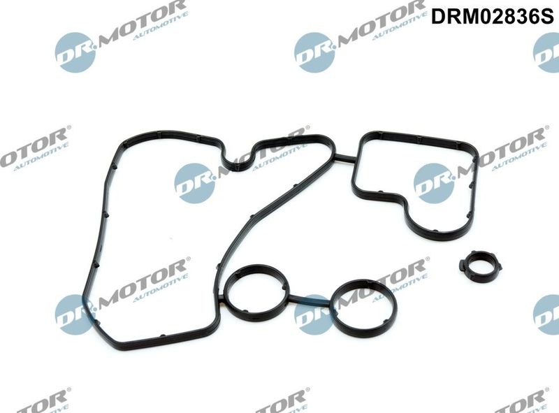 Gasket, Oil Cooler