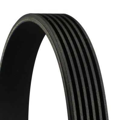 CONTITECH V-ribbed belt VW,OPEL,BMW 6PK1685 078903137F,11287795601,55581761 55597382,05184647AB,5184647AB,K05184647AB,6PK1683,6PK1684,6PK1685,6PK1686