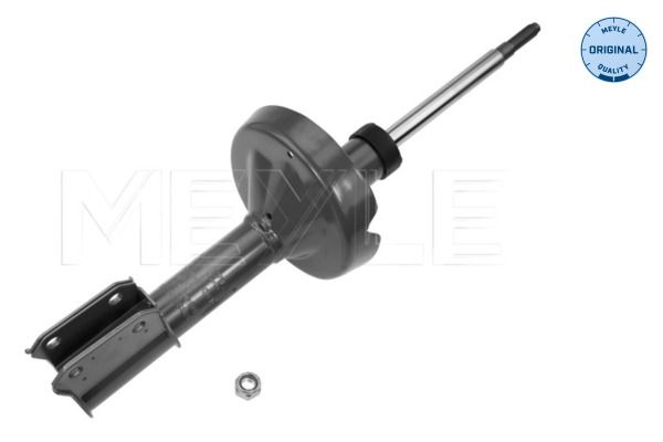 MEYLE Shock absorber Front Axle 16-26 623 0010 Shocks,Shock absorbers RENAULT,CLIO II (BB0/1/2_, CB0/1/2_),TWINGO II (CN0_),CLIO II Kasten (SB0/1/2_)