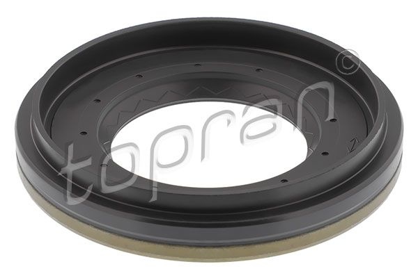 Oil seal, differential