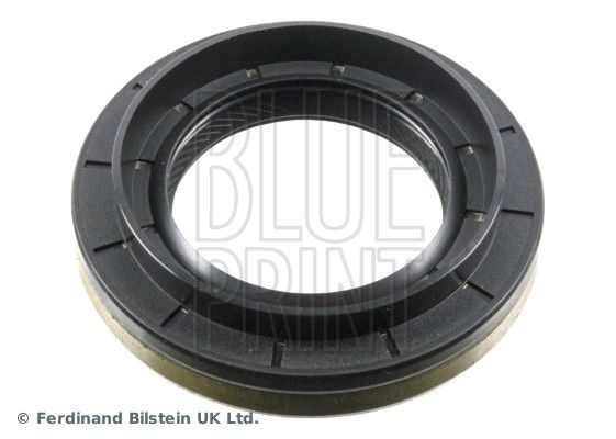 Oil seal, differential