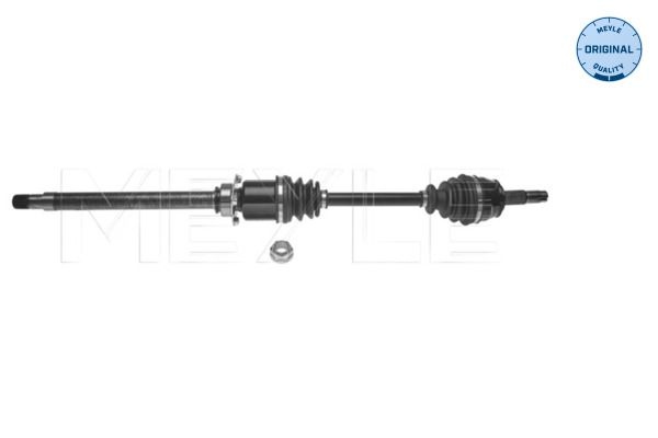 Drive Shaft