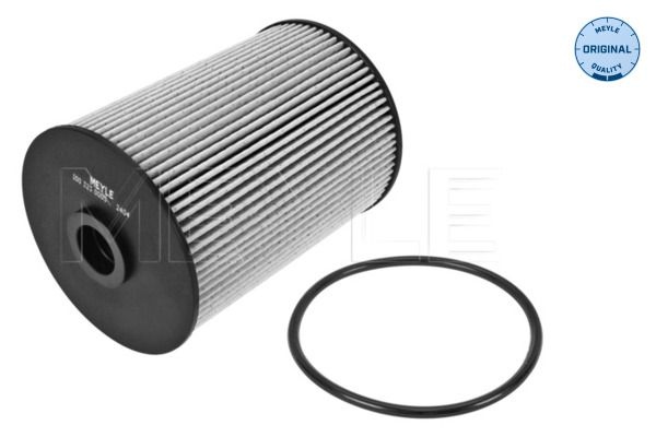 MEYLE Fuel Filter ORIGINAL Quality 100 323 0005 VW,AUDI,SKODA,Golf V Schrägheck (1K1),GOLF VI (5K1),GOLF PLUS (5M1, 521),Golf VI Variant (AJ5)