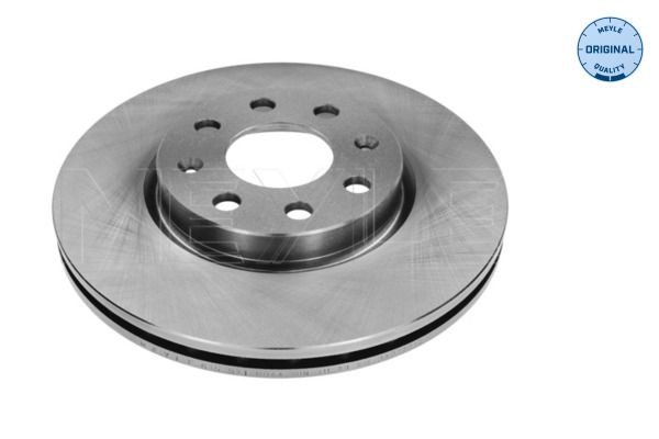 MEYLE Brake disc OPEL,FIAT,VAUXHALL 615 521 0015 55700920,55700921,6001073179 Brake rotor,Brake discs,Brake rotors 71773404,93188917,93197241,95526488