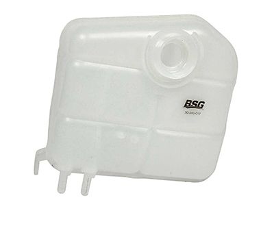 Bsg Expansionstank Kylvatska Ford Bsg30550017 Storlek 2