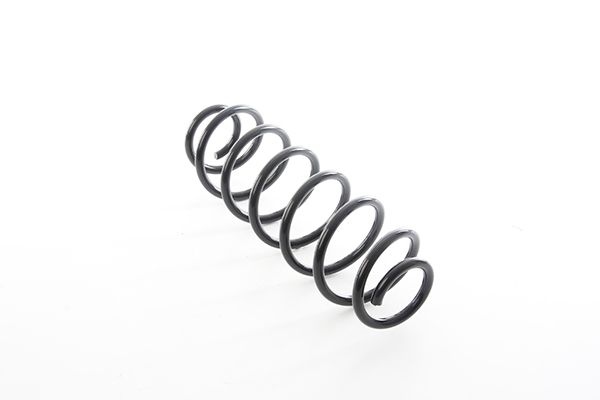 Chassis Spring