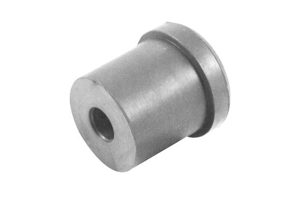 TEDGUM Bushing, leaf spring Rear Axle TED80499 CHRYSLER,VOYAGER IV (RG, RS),Voyager / Grand Voyager III (GS),Grand Voyager IV (RG, RS)