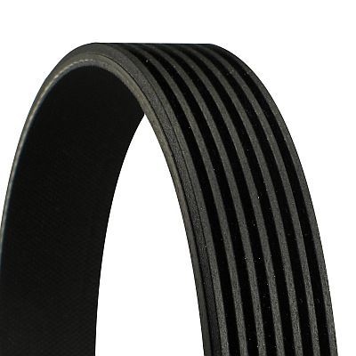 CONTITECH V-ribbed belt VW,AUDI,NISSAN 7PK1272 06E903137AB,7PK1270,7PK1271 7PK1273,7PK1274,31110PRA013,11720EB300,11720EB30A,11720EB310,11720EB70C