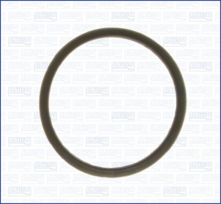 Gasket, thermostat