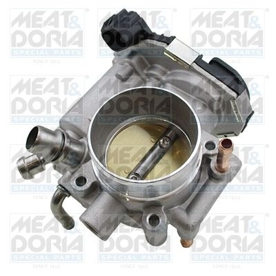 Throttle body