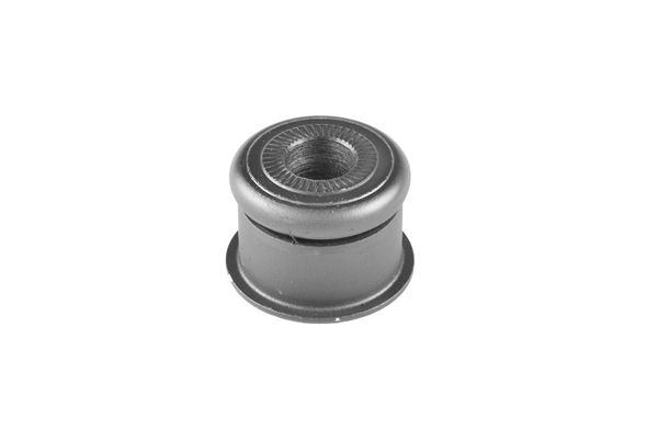 TEDGUM Mounting, axle bracket Rear Axle 00053280  AUDI,100 Limousine (44, 44Q, C3),A6 Limousine (4B2, C5),100 Limousine (4A2, C4),A6 Avant (4A5, C4)