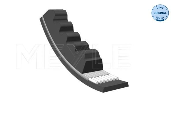 MEYLE V Belt VW,AUDI,MERCEDES-BENZ 052 010 0913 068121039F,1274563,1711144 Fenner Belt 32411274563,32411711144,5750G2,91522116,95493421,DS2316,4168467