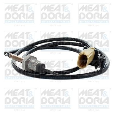 Sensor, exhaust gas temperature