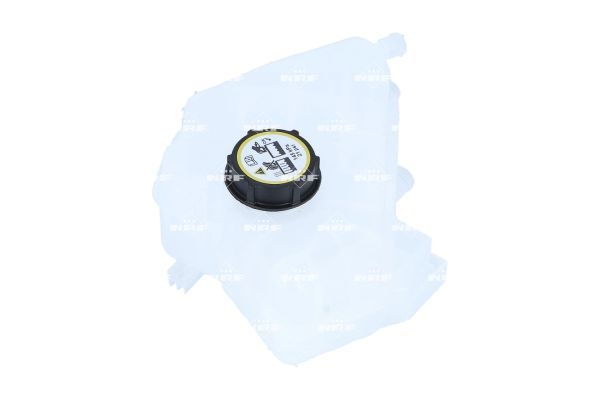 Ford Expansion Tank Coolant