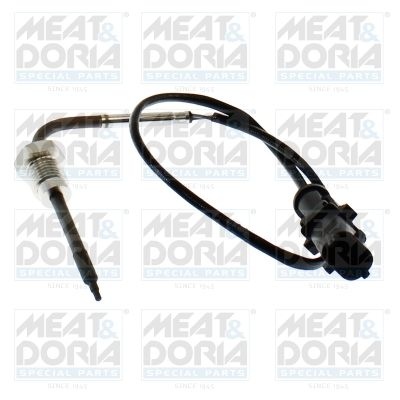 Sensor, exhaust gas temperature