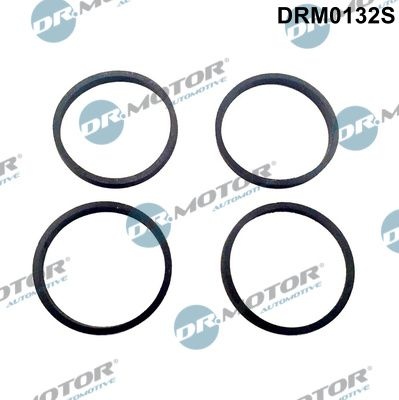 DR.MOTOR AUTOMOTIVE Gasket Set, intake manifold DRM0132S VW,AUDI,FORD,Golf IV Schrägheck (1J1),Golf V Schrägheck (1K1),POLO (9N_)